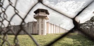 Watchtower and prison fence viewed through chain-link fence.