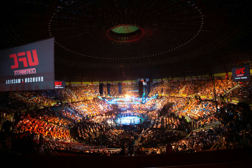 Arena filled with spectators at a UFC event.