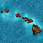 Federal Charges Filed After Seal Attack — Wild Excuse Revealed… Aerial view of the Hawaiian Islands in blue ocean.