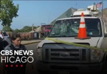 Dog, Slurs, Chaos—CBS Crew Under Siege CBS Chicago journalists attacked while on shoot near Adler Planetarium
