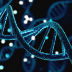 DNA Bombshell RESTORES Lost Teen’s Name Close-up of a DNA double helix structure.