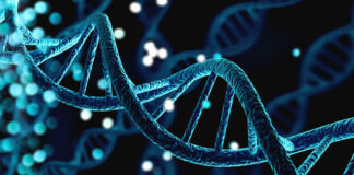 Close-up of a DNA double helix structure.