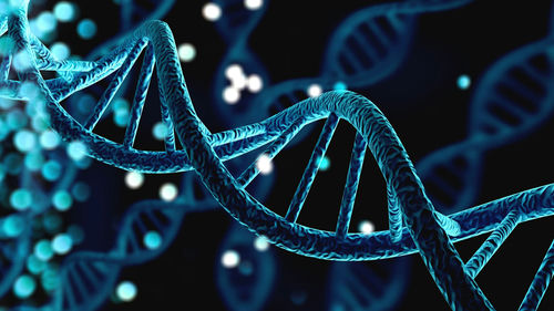 shutterstock1669326868-1jpg Close-up of a DNA double helix structure.
