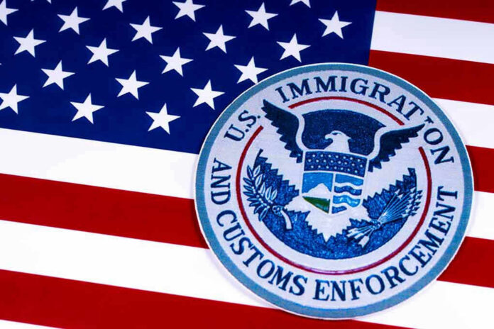 1055129183 U.S. Immigration and Customs Enforcement emblem on American flag.