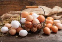 Basket of brown and white eggs on rustic wooden table