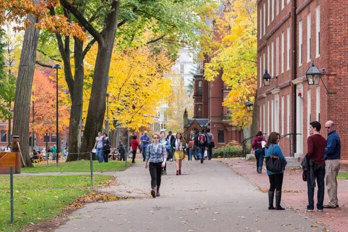 Students walking through a leafy campus path in autumn